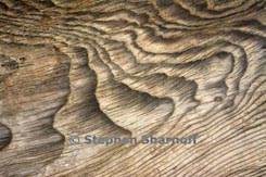 driftwood thumbnail graphic